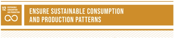 SDG12: "Ensure sustainable consumption and production patterns"