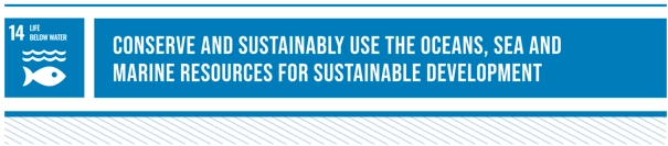 SDG14: "Conserve and sustainably use the oceans, seas and marine resources for sustainable development"