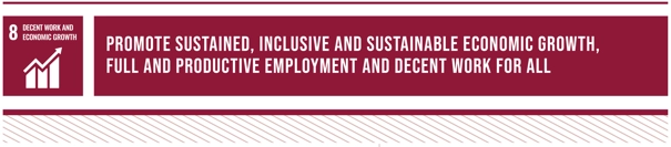 SDG8: "Promote sustained, inclusive and sustainable economic growth, full and productive employment and decent work for all"